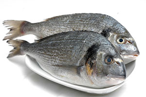 Çipura